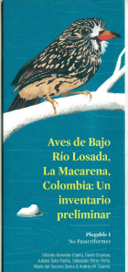 Portada local