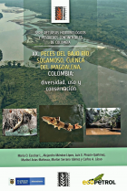 Portada local