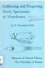 Portada local