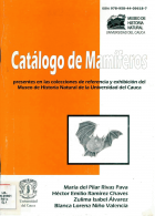 Portada local