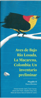 Portada local